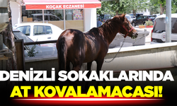 Denizli’de Zincirini Koparan At Sokaklarda Panik Yarattı