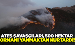 Denizli'de 500 hektarlık orman yanmaktan kurtarıldı!