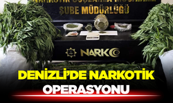 Denizli’de Uyuşturucu Baskını 290 Kök Kenevir Ele Geçirildi