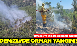 Denizli'de orman yangını!