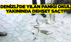 Denizli'de Yılan Paniği Okul Bahçesinden Kaçan Yılan Esnafı Harekete Geçirdi