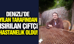 Denizli'de yılanın ısırdığı çiftçi hastanelik oldu!