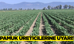 Didim İlçe Tarım'dan Pamuk Üreticilerine Uyarı!