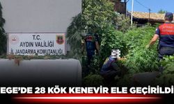 Ege'de kenevir ele geçirildi