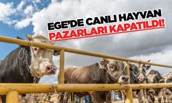 Ege'de hayvan pazarları kapatıldı!