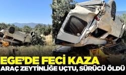 Ege'de feci kaza: Araç zeytinliğe uçtu