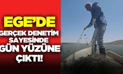 Ege'de kaçak avcıların ağı, denetimde ortaya çıktı