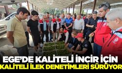 Ege'de üretimde kritik dönem: Sezon başladı