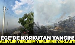 Ege'de zirai alanda yangın!