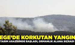 Ege'de korkutan yangın