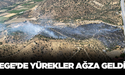 Ege'de korkutan zeytinlik yangını