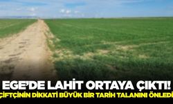 Egeli çiftçinin dikkati büyük bir tarih talanının önüne geçti