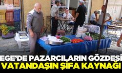 Ege'de dağlarında şifa kaynağı: 25- 30 TL