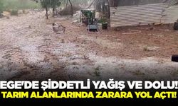 Ege'de dolu şoku: Tarım alanlarını olumsuz etkiledi