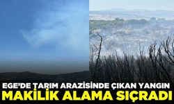 Ege'de tarım arazinde çıkan yangın makilik alana sıçradı