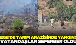 Ege'de tarım arazisinde yangın paniği!