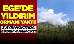 Ege'de yıldırım ormanı yaktı