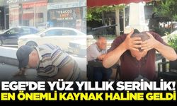 Ege'de serinleme kaynağı: Tam 100 yıldır!