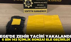 Ege'de uyuşturucu operasyonu: 1 tutuklama