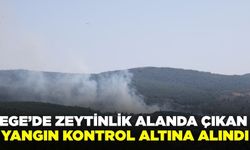 Ege'de çıkan yangın kontrol altına alındı