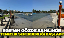 Ege'nin gözde sahili temizlendi!