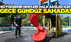 Manisa'nın 17 ilçesinde kene ve haşerelere karşı 7/24 müdahale!