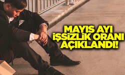 Mayıs ayı işsizlik oranı açıklandı!
