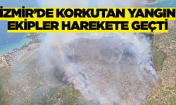 İzmir’de Doğa Tehlikede Yangına Müdahale Sürüyor
