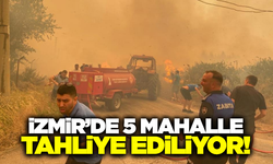 İzmir'de orman yangını: 5 mahalle tahliye ediliyor!