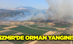 İzmir'de orman yangını!