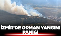 İzmir’de Orman Yangını:i Alevlere 1 Uçak, 7 Helikopterle Müdahale