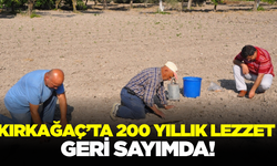 Kırkağaç’ta Kavun Mesaisi Başladı: 30 Bin Tonluk Hedef!