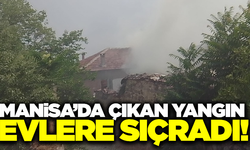 Kırkağaç'ta çıkan orman yangını evlere sıçradı!