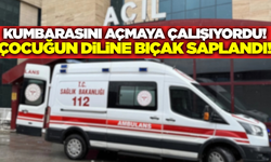 Kumbarasını açmaya çalışıyordu, diline bıçak saplandı!