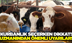 Kurban Bayramı Öncesi Ziraat Mühendisi Özkaya'dan Hayati Uyarılar!