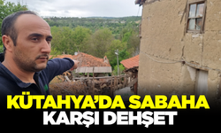 Kütahya'da Kurt Saldırısı 11 Koyun Telef Oldu  Onlarcası Yaralı
