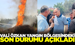 Manisa Valisi Özkan yangın alanında