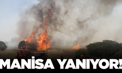 Manisa'da makilik alanda çıkan yangına ekipler müdahale ediyor