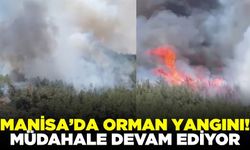 Manisa'da orman yangını: Müdahale devam ediyor