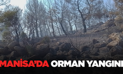 Manisa Kırkağaç'ta Orman Yangını