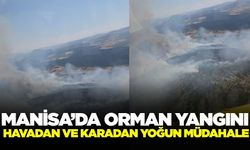 Manisa'da Orman Yangını: Havadan ve Karadan Yoğun Müdahale