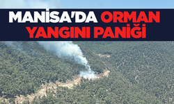 Manisa’da Ormanda Yangın! Hava ve Kara Güçleri Seferber Edildi