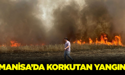 Manisa'da tarım alanında yangın çıktı