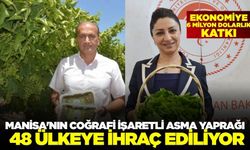 Manisa'nın Coğrafi İşaretli Asma Yaprağı 48 Ülkeye İhraç Ediliyor