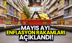 Mayıs ayı enflasyon rakamları açıklandı!
