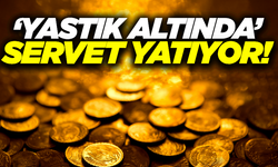 Milyon dolarlık servet evlerimizde saklı!