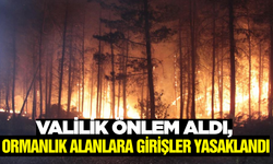 Muğla valiliği duyurdu: Ormanlara giriş çıkışlar yasaklandı!