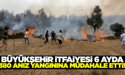 Muğla'da anız yangınları tehlike saçıyor