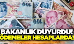 Haziran ayı ödemeleri hesaplarda: 1 milyar 227 milyon TL!