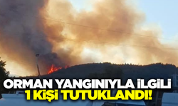 Aliağa'daki yangınla ilgili 1 tutuklama
